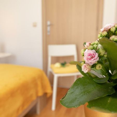 Apartment Nik - Cosy And Stylish 두브로브니크 외부 사진